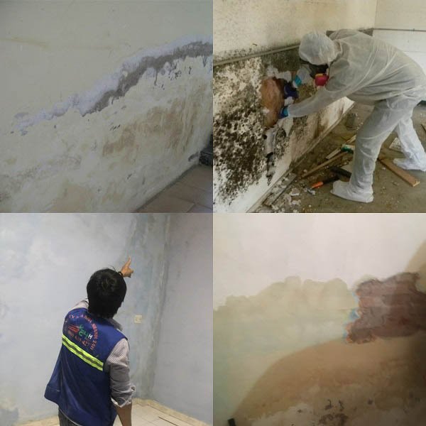 tổng hợp tình trạng tường bị thấm dột, nấm mốc và quá trình xử lý chống thấm ngược tại công trình cũ.