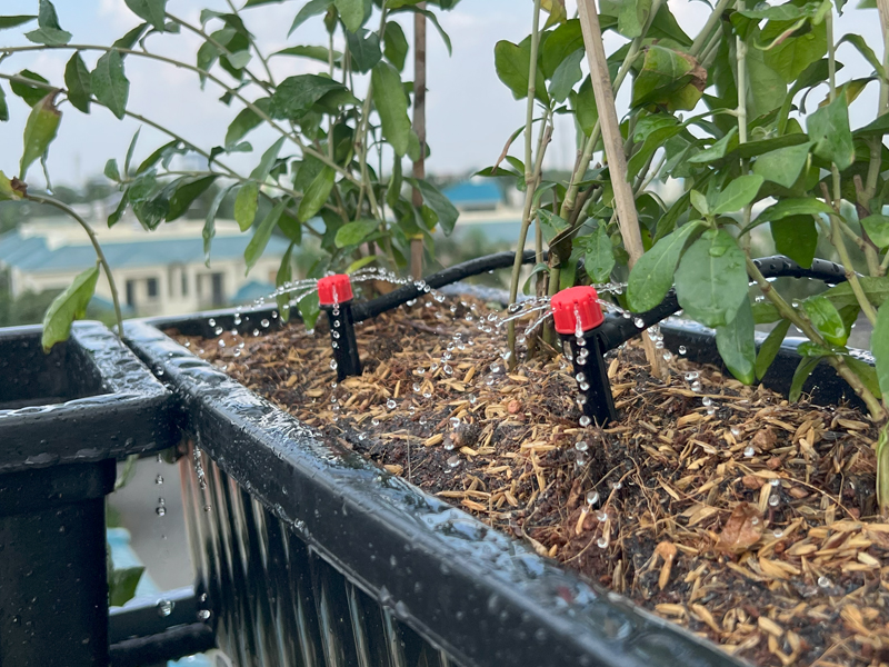 Cận cảnh đầu tưới nhỏ giọt đang tưới cho cây xanh trong bồn, minh họa cho giải pháp tưới tiêu tiết kiệm nước.