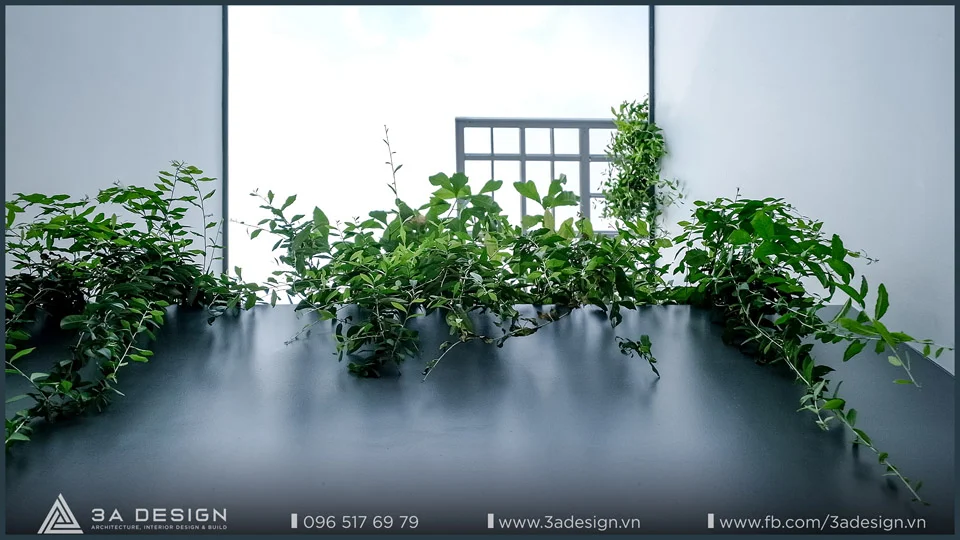 thông tầng nhà phố L House