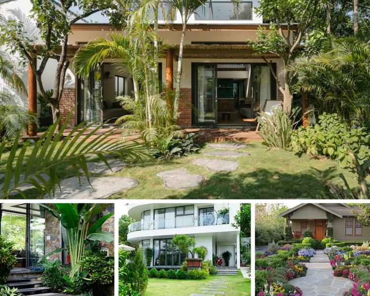 Những cây kiêng kị nên và không nên trồng trước và trong nhà