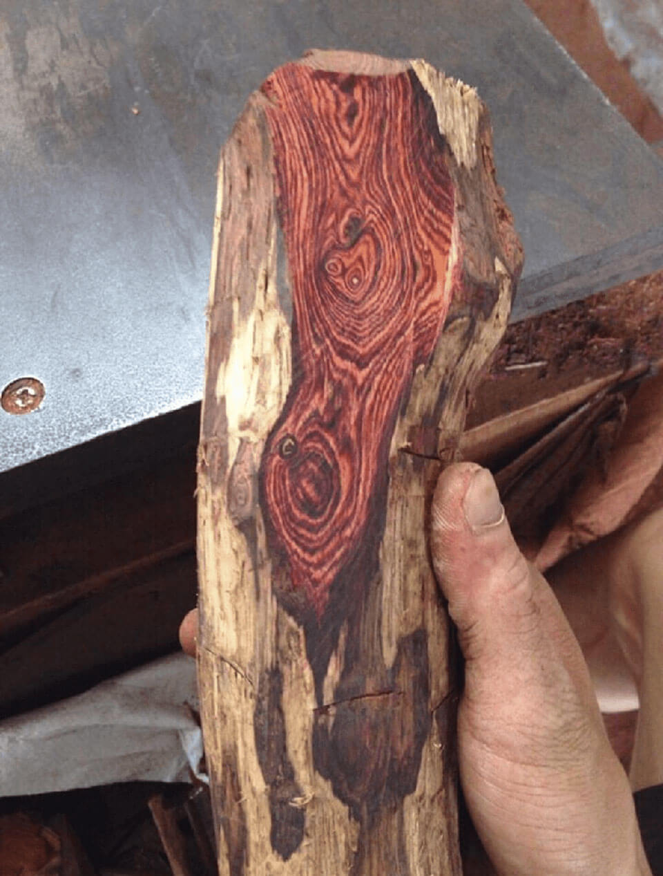 ứng dụng của gỗ sưa trong sản xuất đồ nội thất