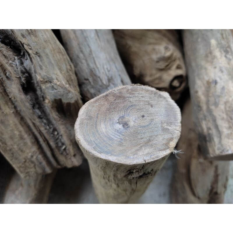 gỗ thuỷ tùng loại gỗ được sử dụng nhiều trong sản xuất đồ mỹ nghệ